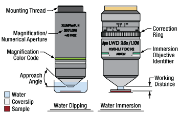 Microscope Objective Immersion Color Code Thorlabs · Microscope Objectives, Water Dipping or Immersion