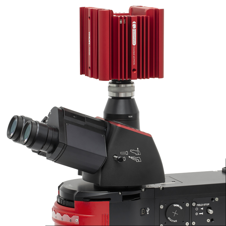 Thorlabs · 2.1 MP sCMOS Scientific Cameras